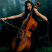  Montagana " Sleeping Beauty"Model 500 Full Size Handmade by prize winning luthiers