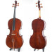 Strad WC 308  Standard Cello
