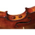 The Realist Acoustic Electric 4-string Violin